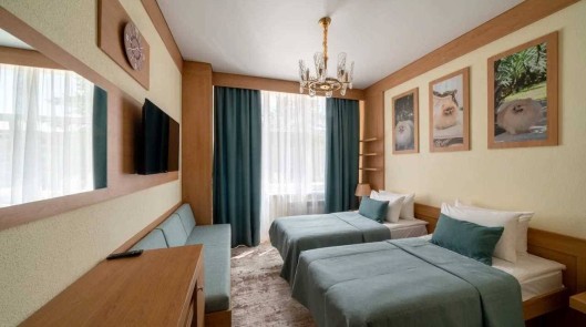 Делюкс 1-комнатный